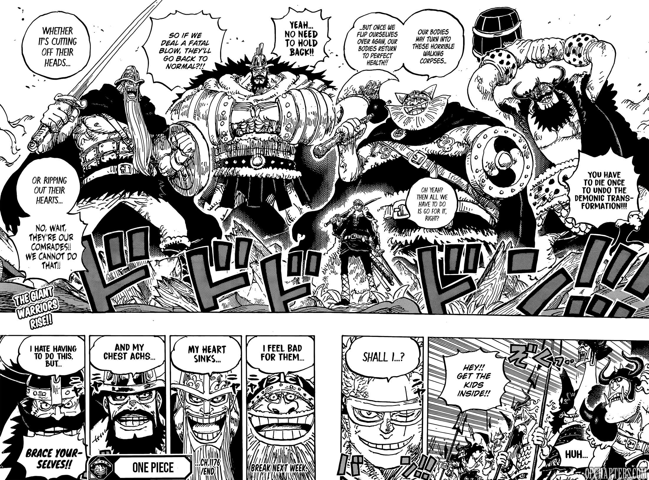 One Piece, Chapter 1176 image 15